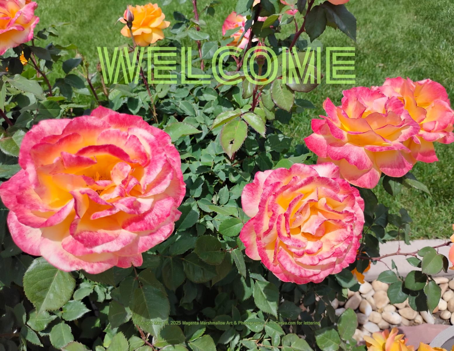 Roses -  WELCOME - Rug / Doormat