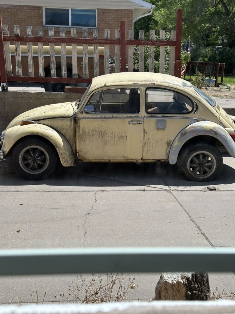 1972 Vw Bug