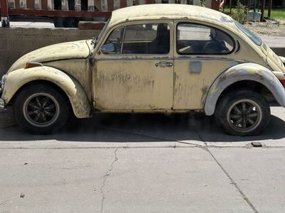 1972 Vw Bug