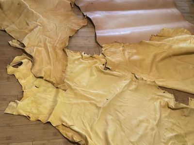 Deer Hides Leather