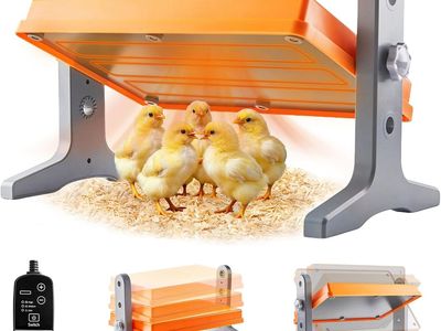 NEW Chick Brooder Heater Plate – 12" x 8" Adjustable Height & Temperature Poultry Warmer for Up to 10 Chicks
