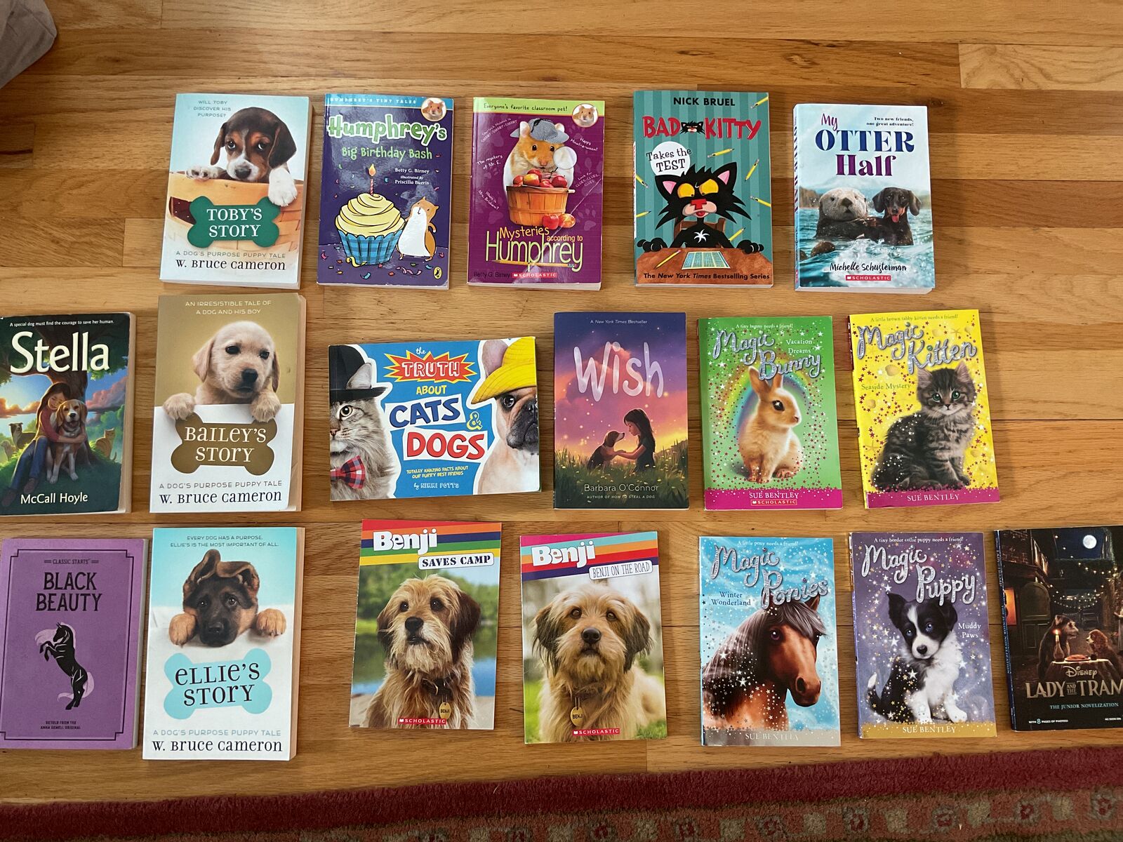 18 Favorite  Young Reader Books