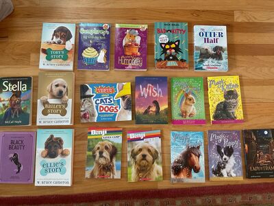 18 Favorite Young Reader Books