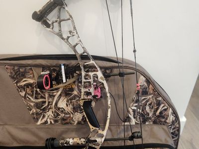 Hoyt Eclipse