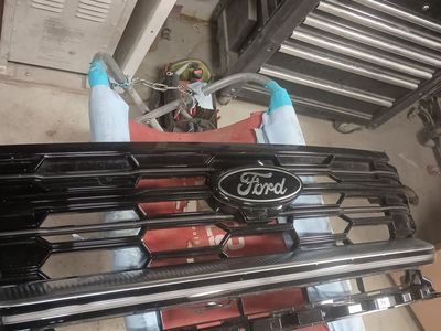 Ford Expedition Grill with Light