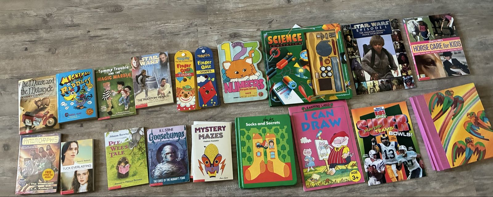 Children's Vintage Book Lot - Animorphs, Goosebumps, Star Wars, Beverly Cleary, Activity Books, Tuck Everlasting, Science, books