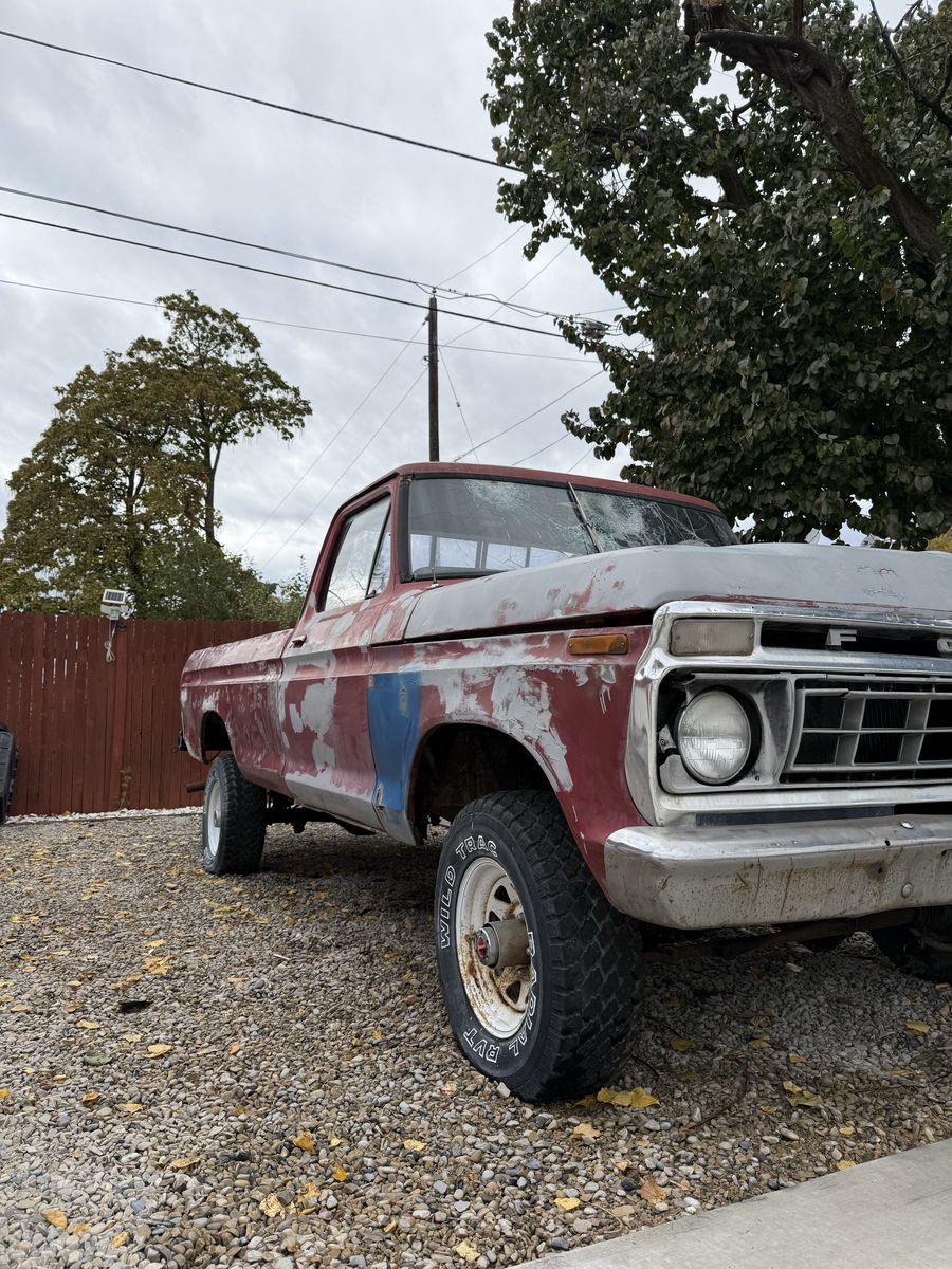 1973 FORD F100