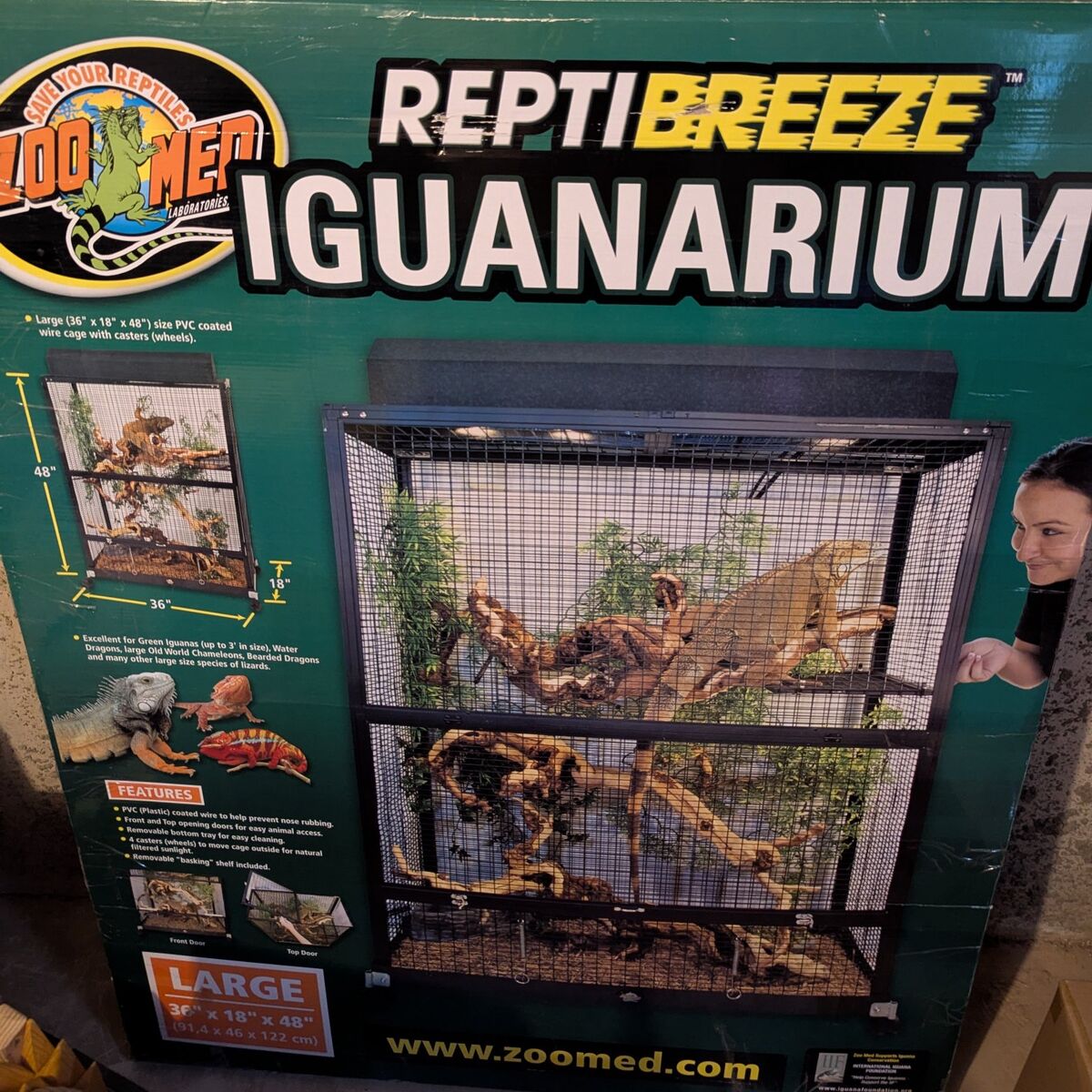 Iguana enclosure