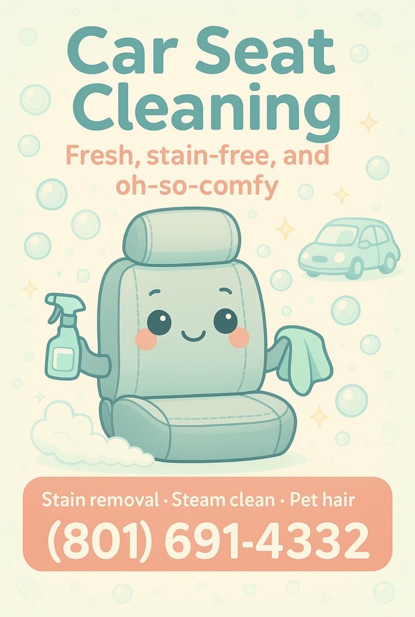 Car Seat Cleaning