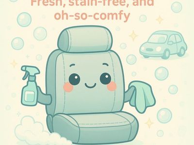 Car Seat Cleaning
