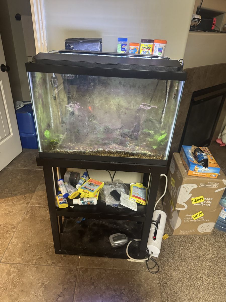 Fish tank