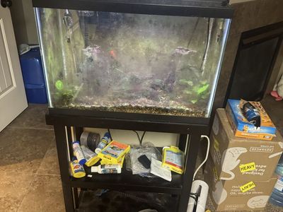 Fish tank