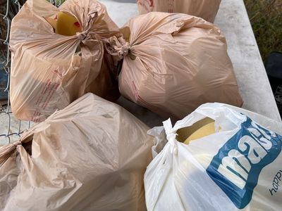 Bags of 1.9 foams crawler innovations