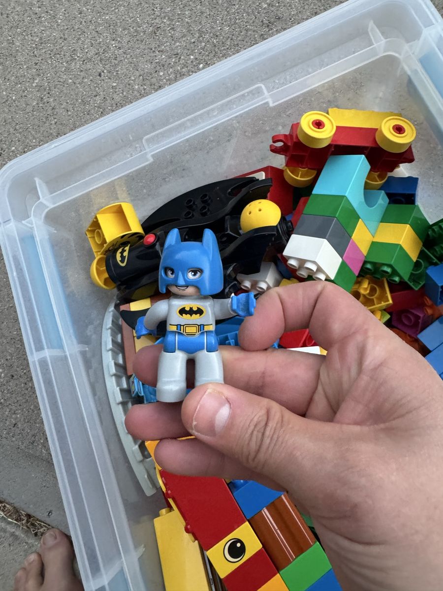LEGO Duplo Batman & Catwoman Minifigures with Batwing & Assorted Building Bricks Lot