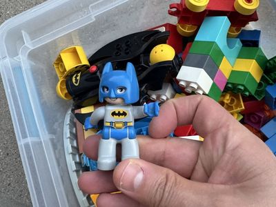 LEGO Duplo Batman & Catwoman Minifigures with Batwing & Assorted Building Bricks Lot