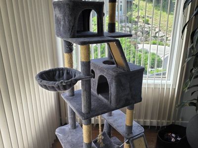used cat tree. Big giant cat tree
