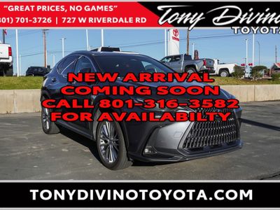 2024 Lexus NX 350 Luxury