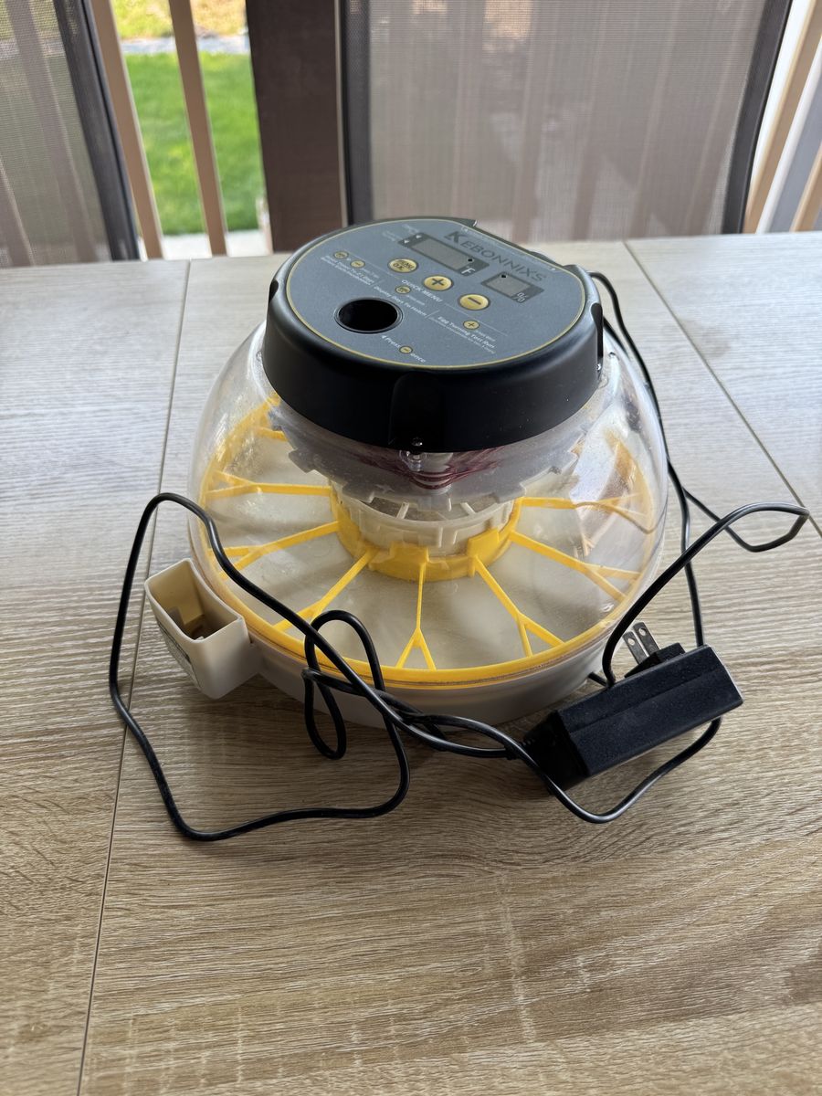 Egg Incubator