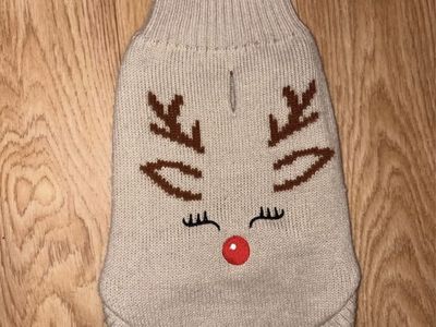 Dog apparel