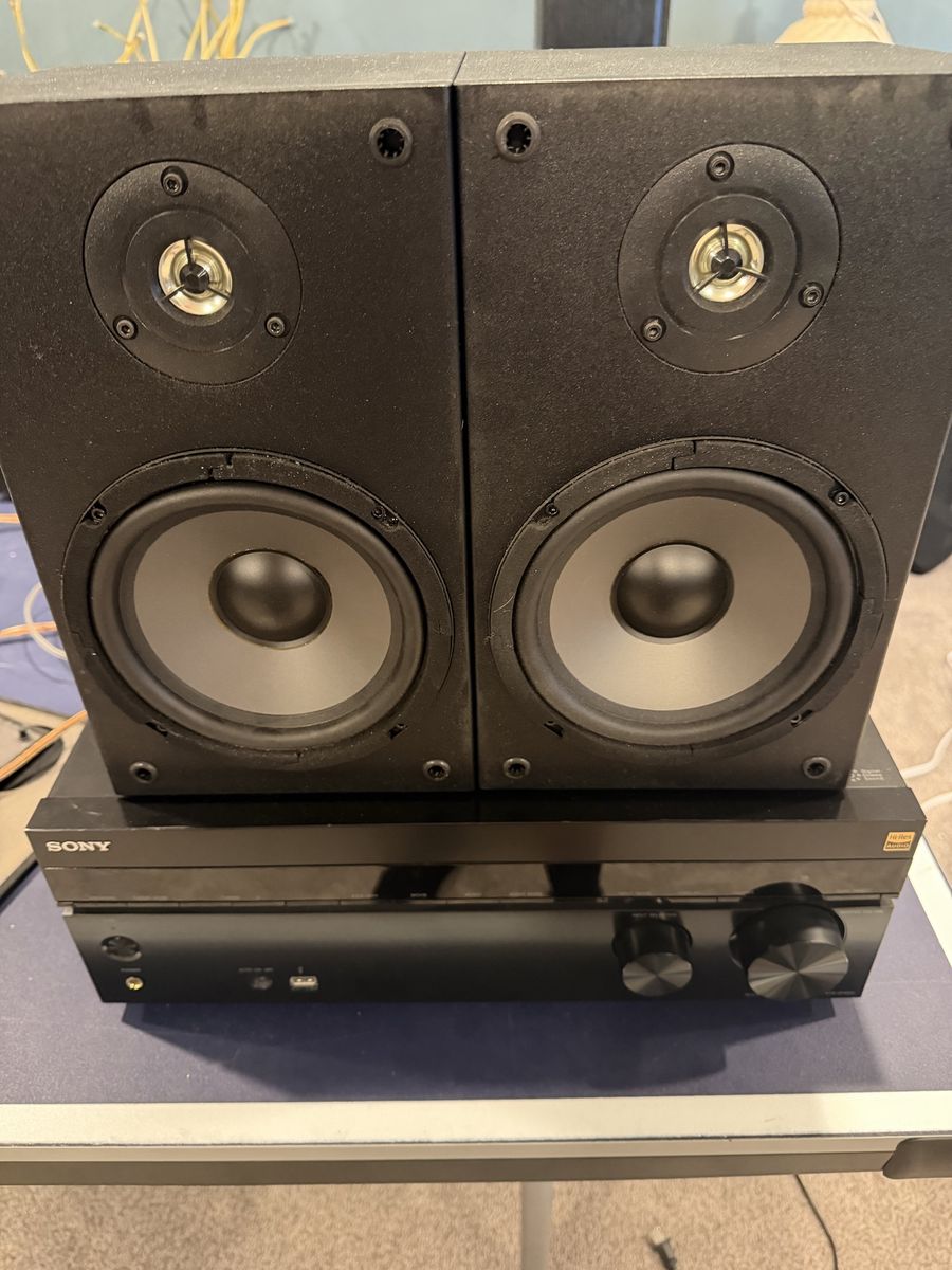 Dayton Audio B652 bookshelf speakers.
