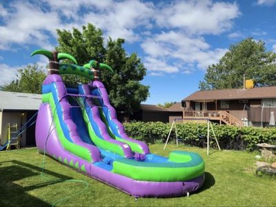 Purple Palm Plunge Water Slide