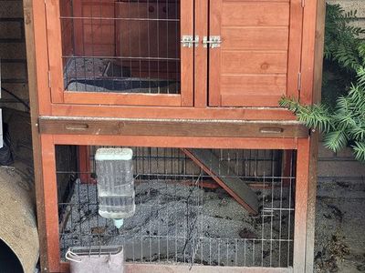 Bunny house/ bunny barn