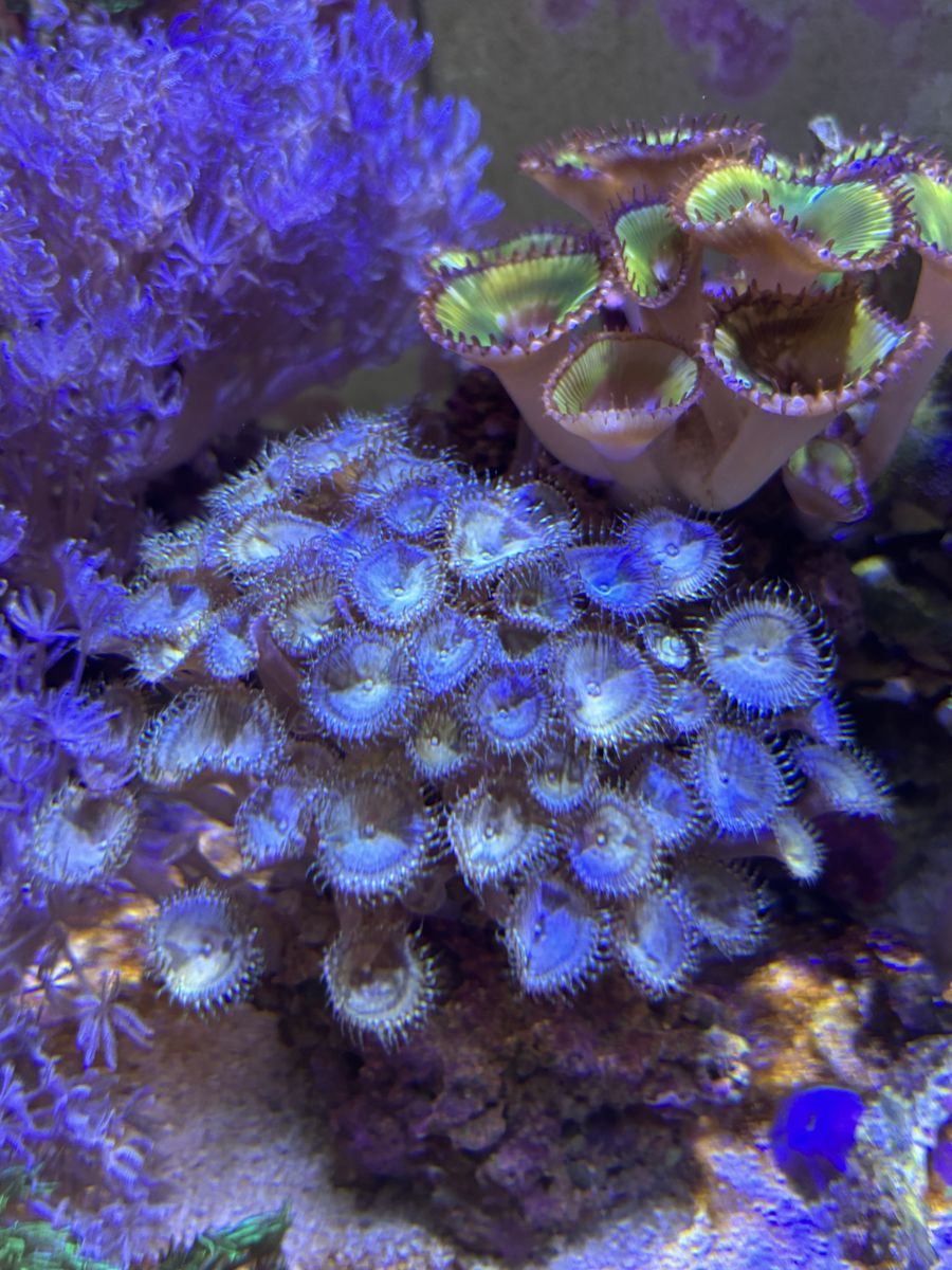 Main image 6