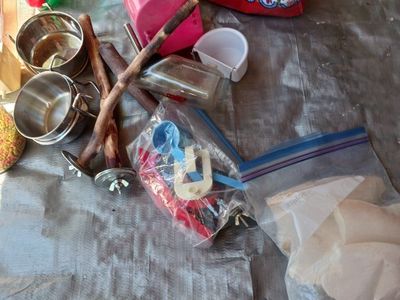Assorted Bird Supplies Lot with Food, Perches, Bowls and Toys