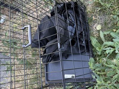 Dog Crate