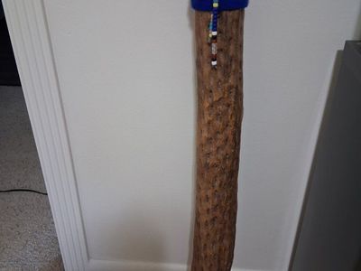 Saguaro Cactus Rainstick