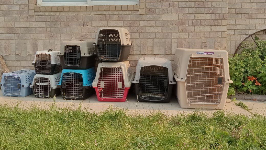 Hard Plastic Pet Crates / Dog & Cat Travel Kennels - Multiple Sizes