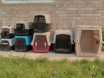 Hard Plastic Pet Crates / Dog & Cat Travel Kennels - Multiple Sizes