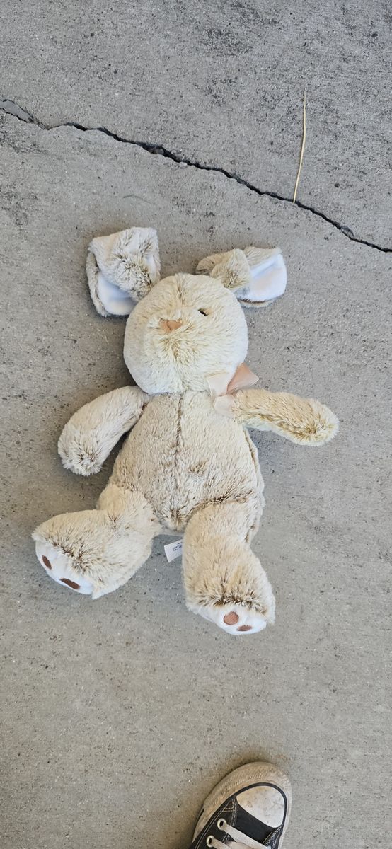 Carter's Tan Bunny Plush Stuffed Animal – Floppy Ear Security Rabbit Lovey