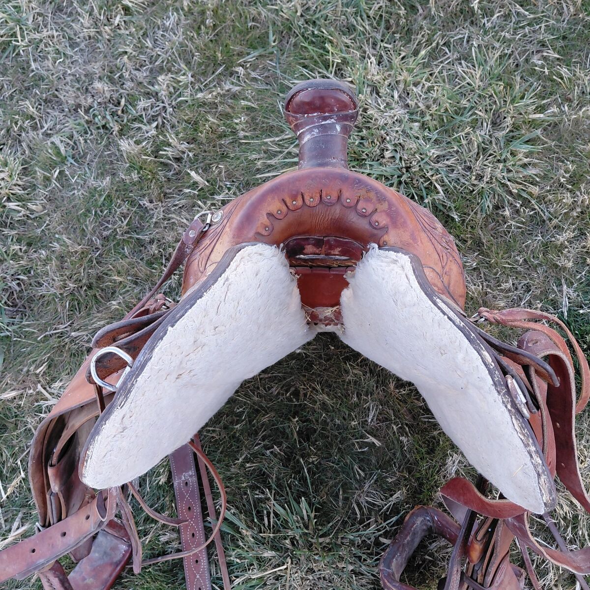 saddle