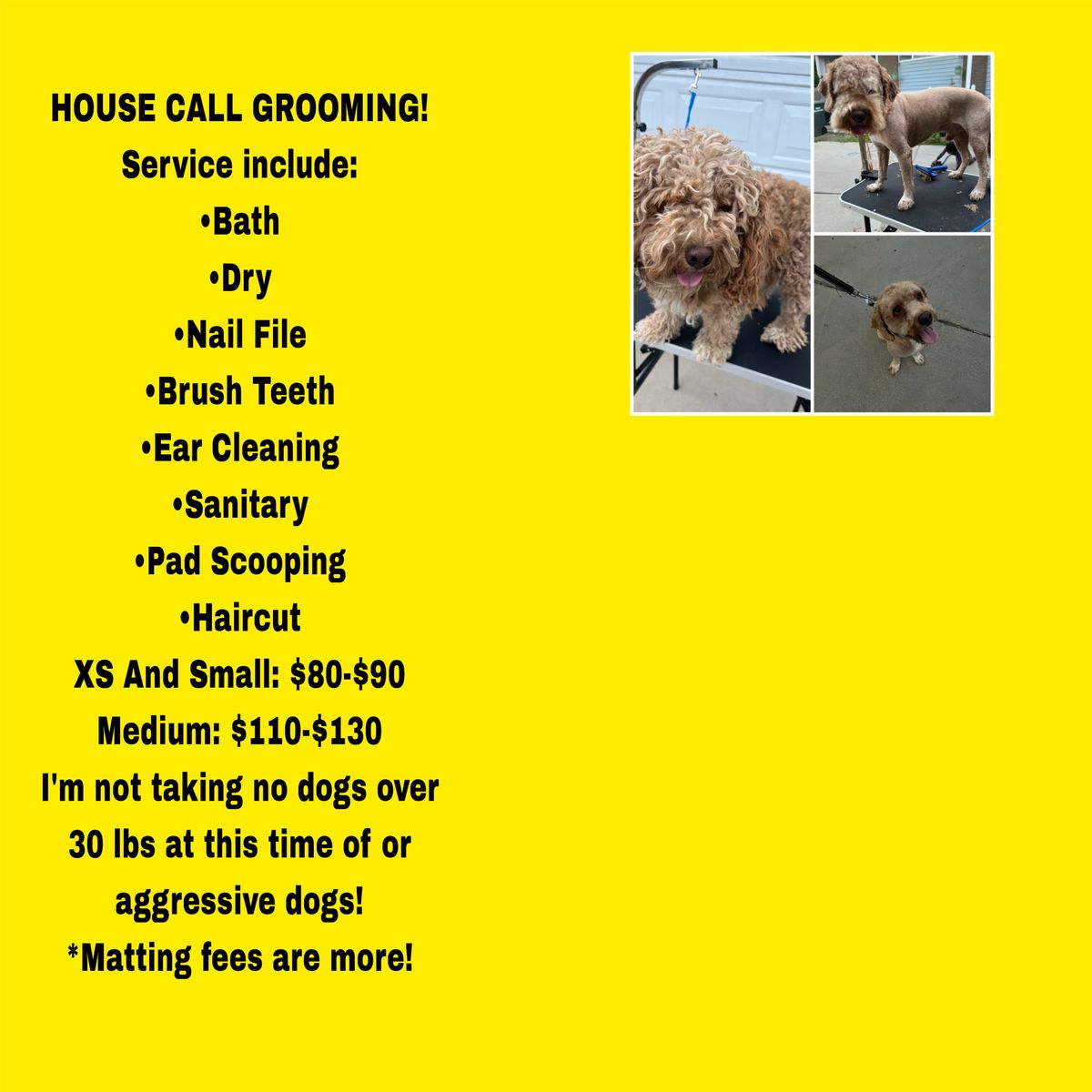 House Call Dog Grooming Services: Small Dogs (under 30 lbs) - Bath, Dry, Nail File, Brush Teeth, Ear Clean