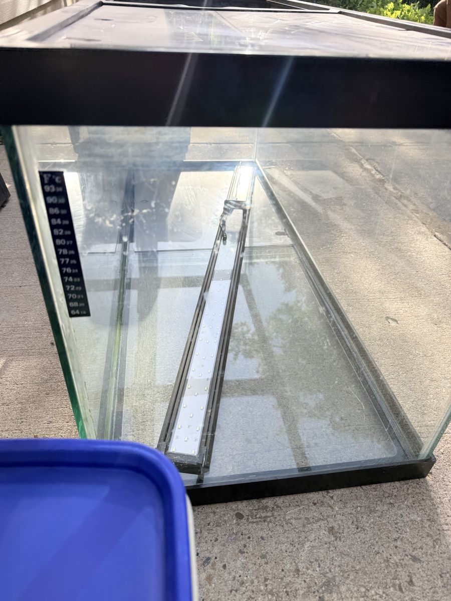 75 gallon Aquarium