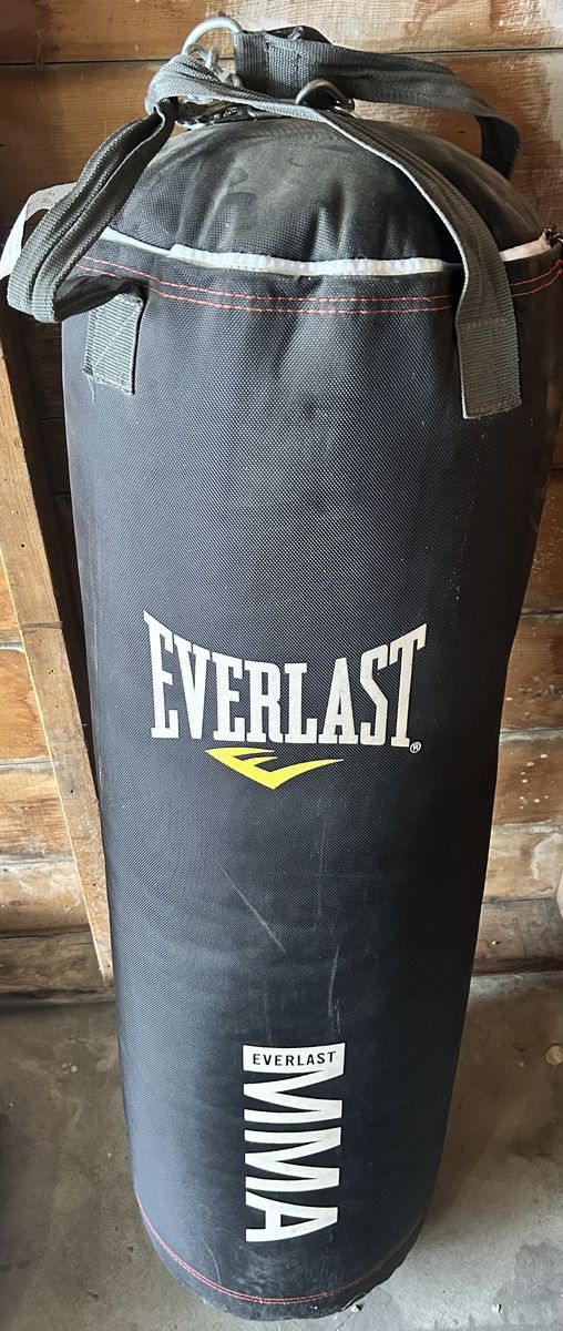 Everlast Punching Bag