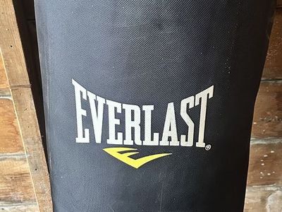 Everlast Punching Bag