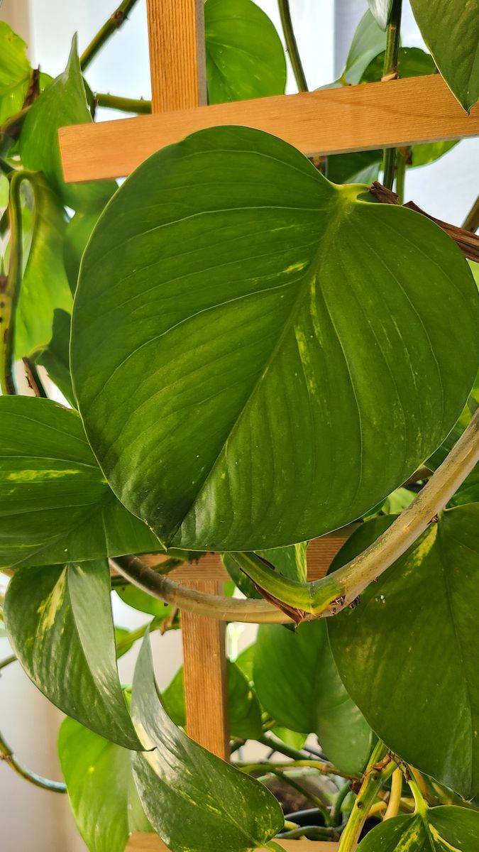 Main image 3