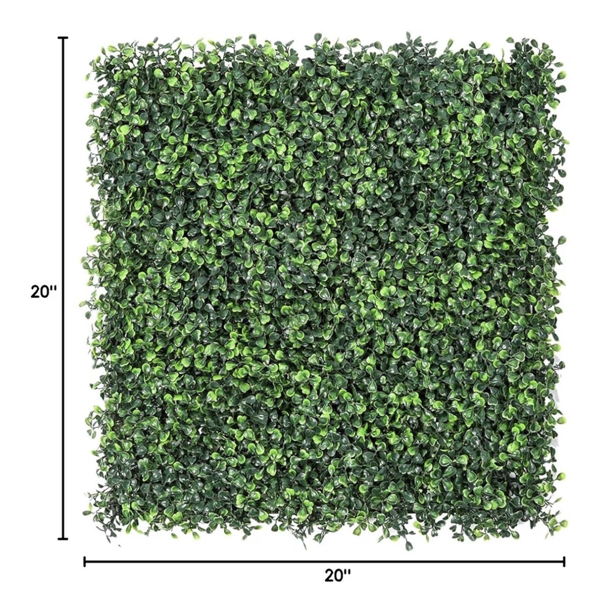 Boxwood wall panels
