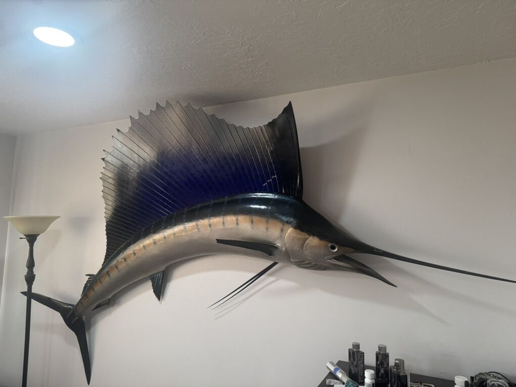 Giant Sailfish 7ft Plus