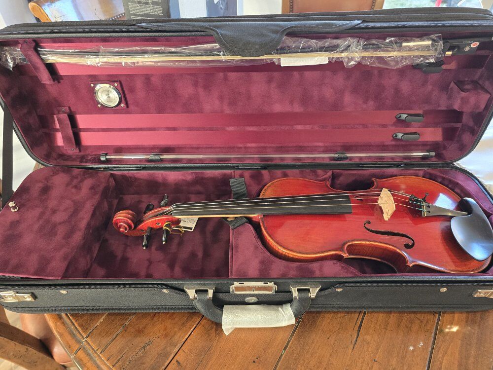 4/4 Violin Eastman VL605