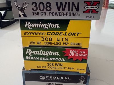 308 WIN Ammo