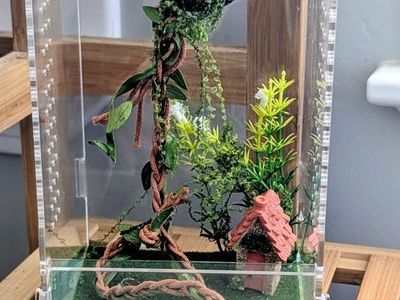 Jumping spider enclosure and accessories, No spider
