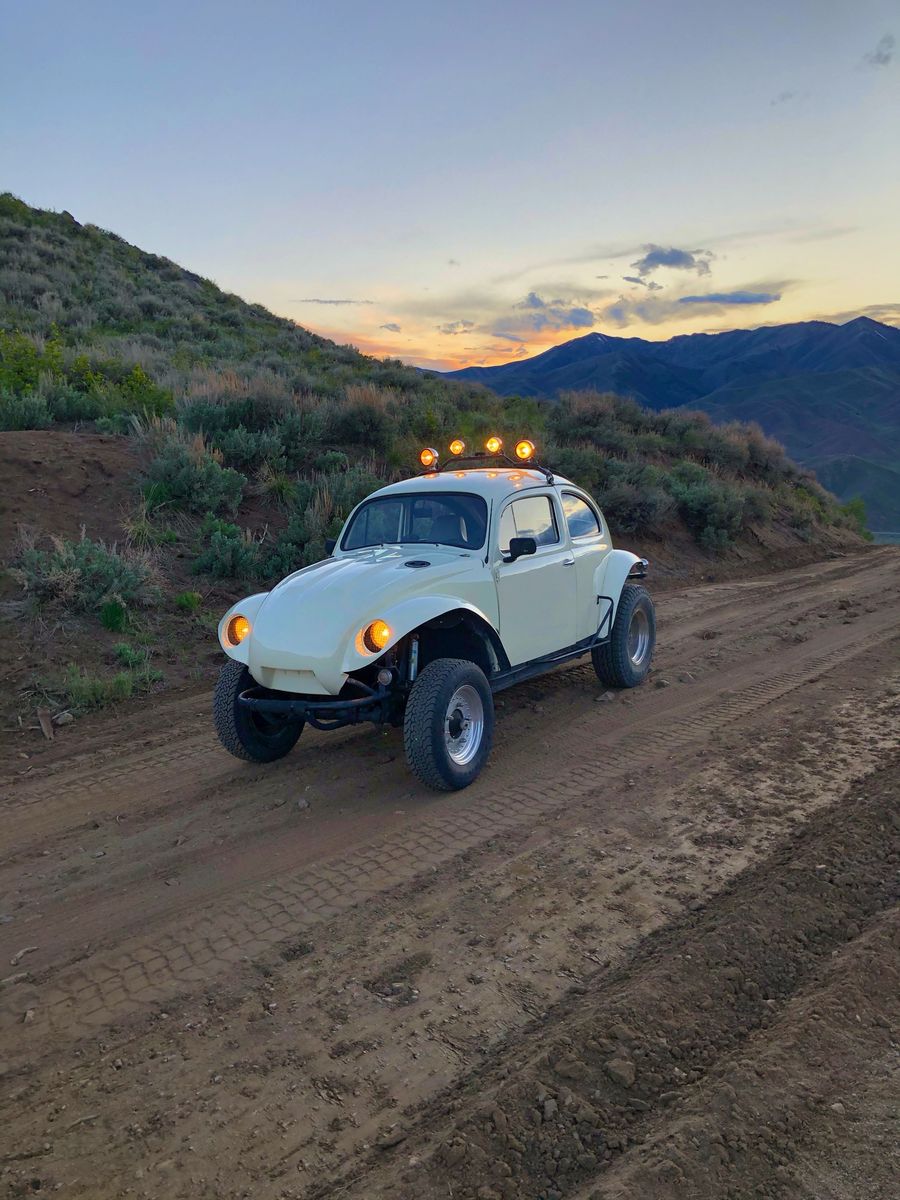 1965 VW Baja Bug