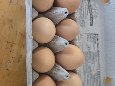 Brown Farm Fresh Eggs