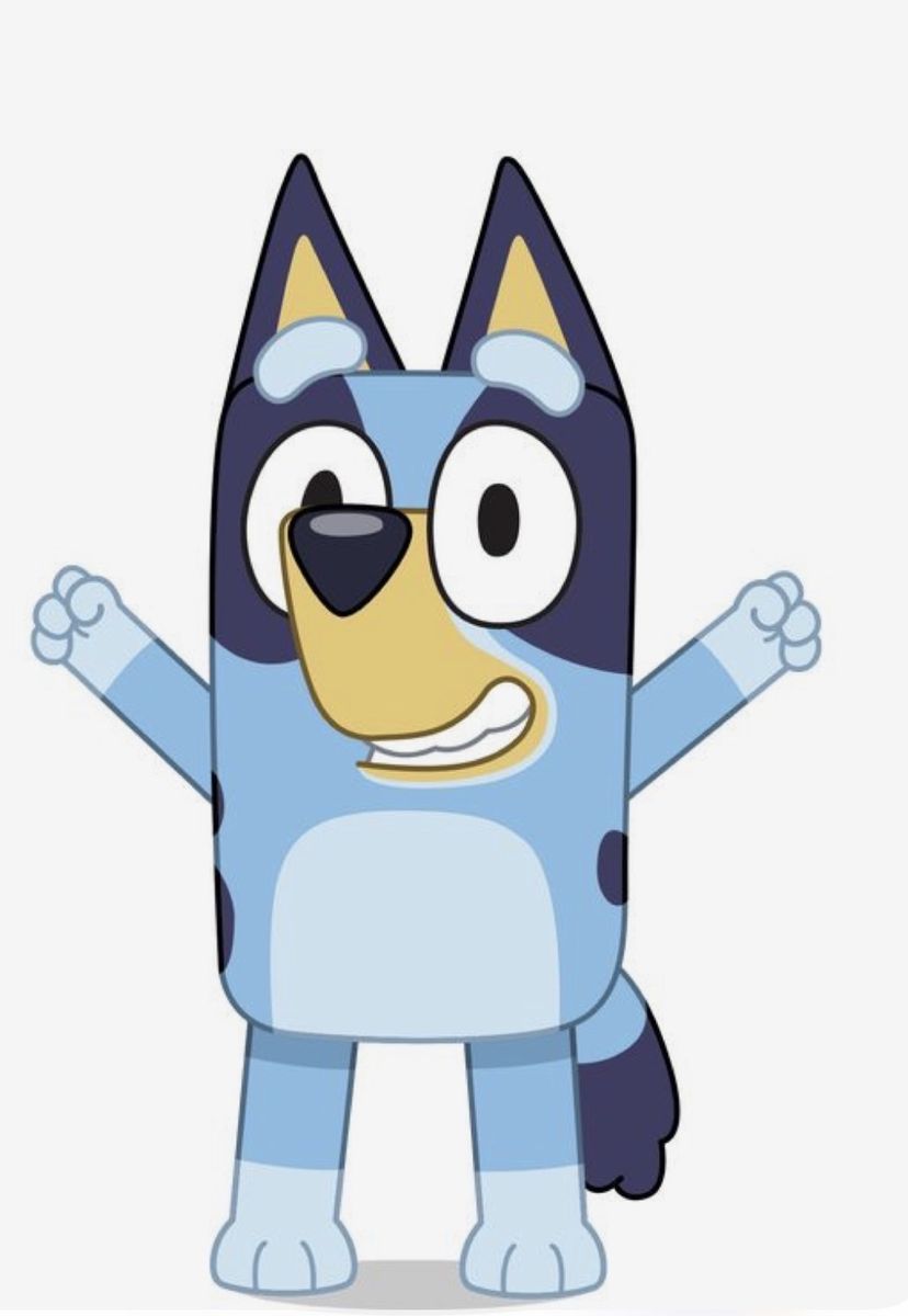 Bluey stuff