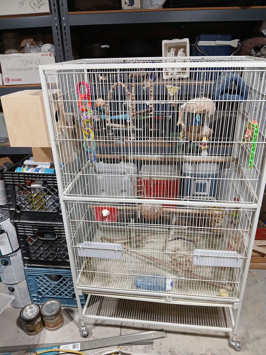 Large BIRD CAGE
