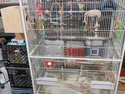 Large BIRD CAGE