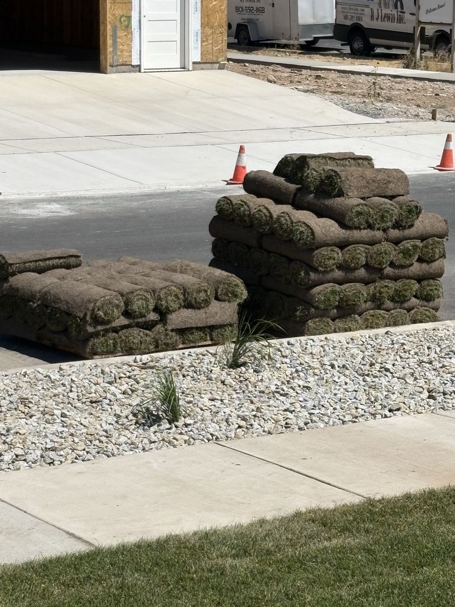 Leftover Sod Rolls - New Lawn Grass for Landscaping